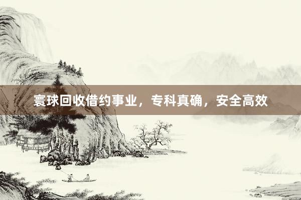 寰球回收借约事业，专科真确，安全高效