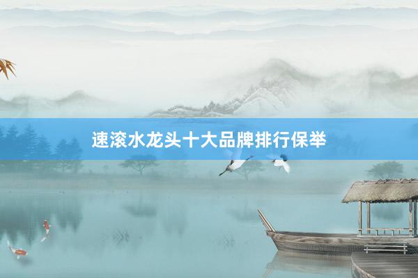 速滚水龙头十大品牌排行保举